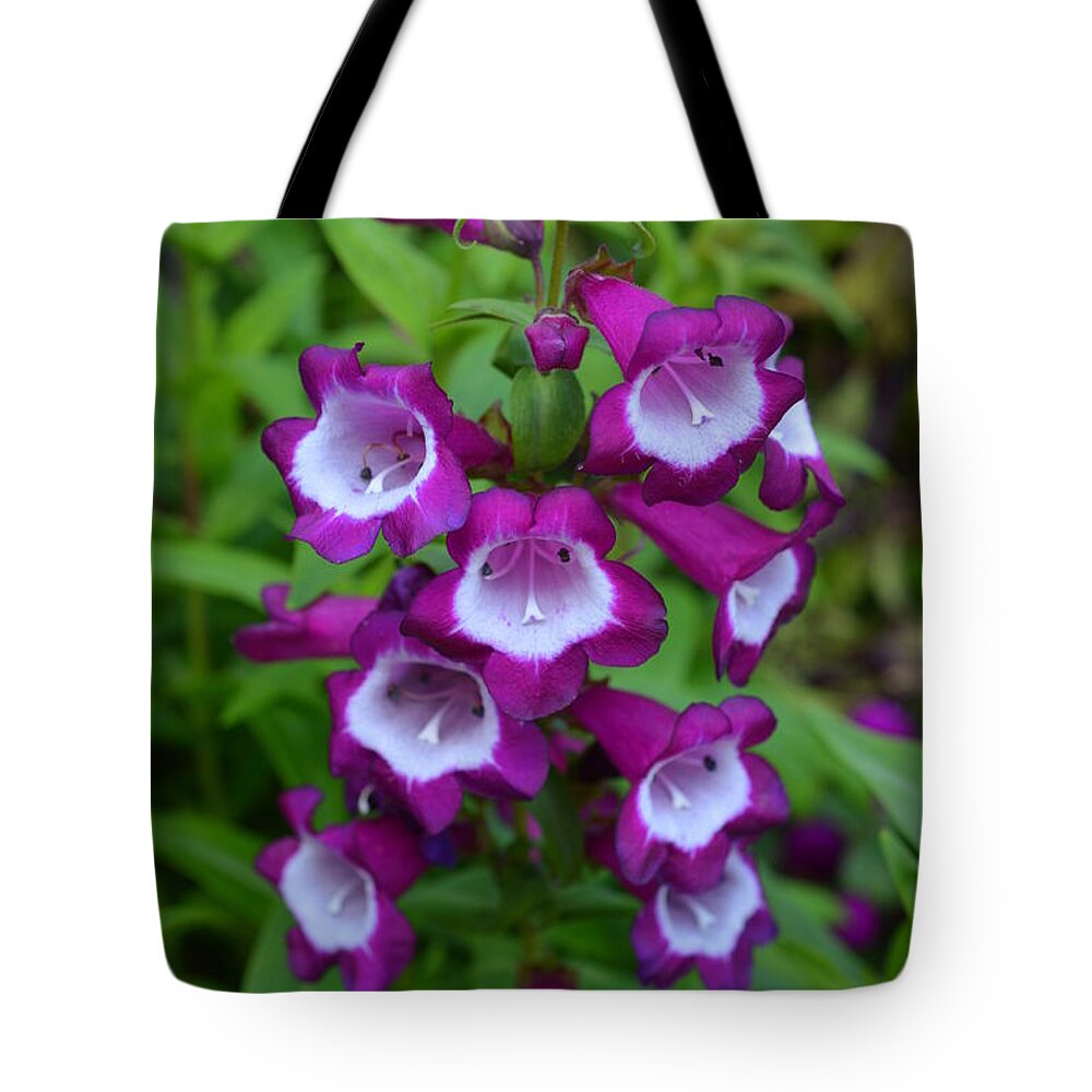 Purple Tote Bag featuring the photograph Nothing's Quite as Pretty by Lew Davis