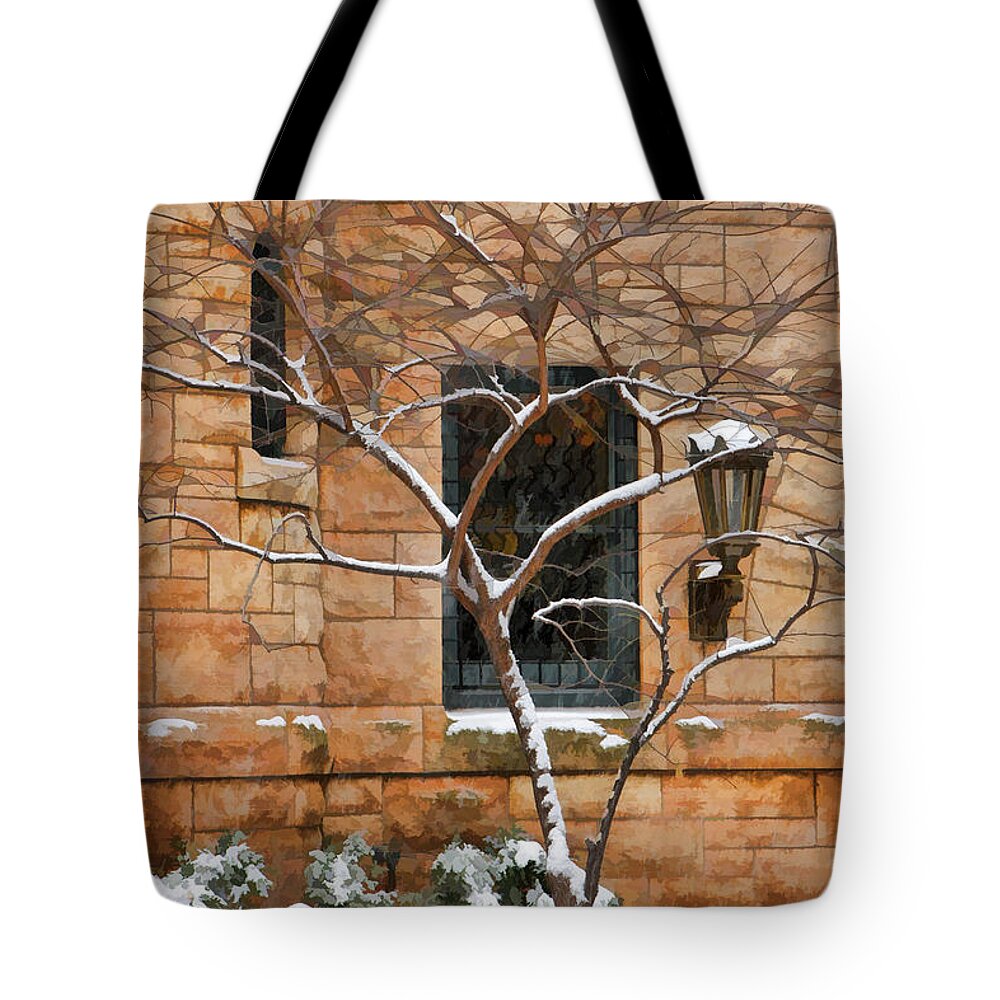 Winter Tote Bag featuring the painting Nottingham Winter by Christopher Arndt