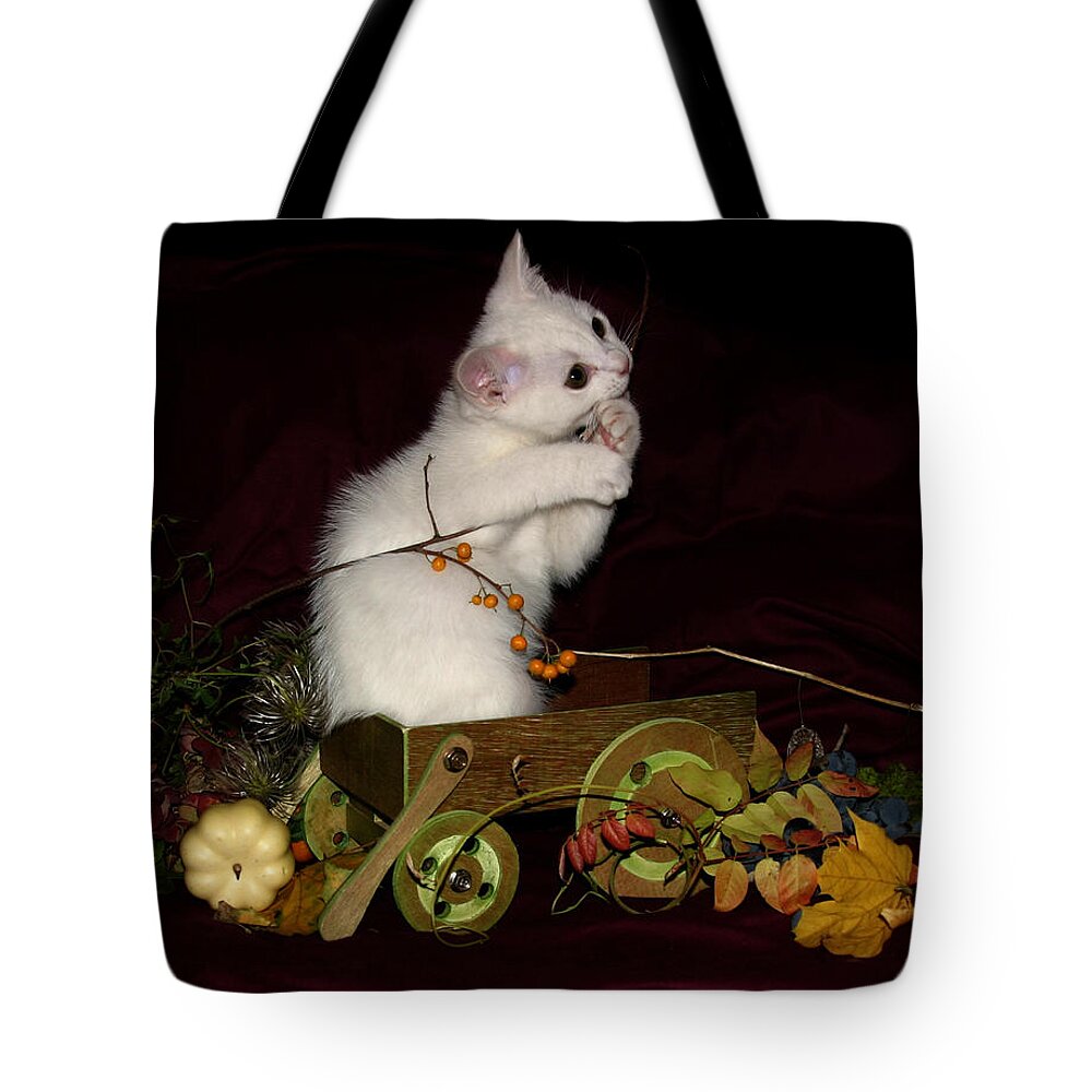 Scottish Folds Tote Bag featuring the pyrography November 2005 by Robert Morin