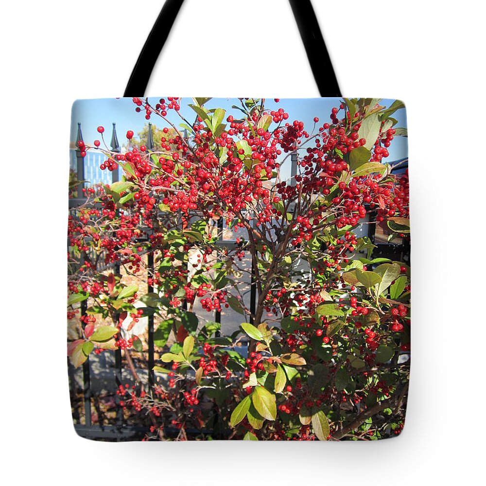 Landscape Tote Bag featuring the painting November Christmas Flowers by Glenda Crigger