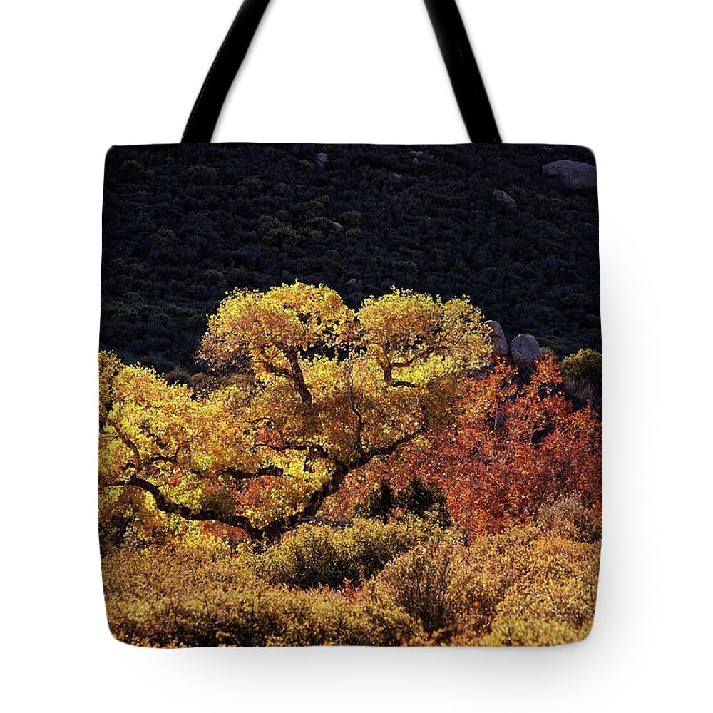 Fall Tote Bag featuring the photograph November in Arizona by Ron Chilston