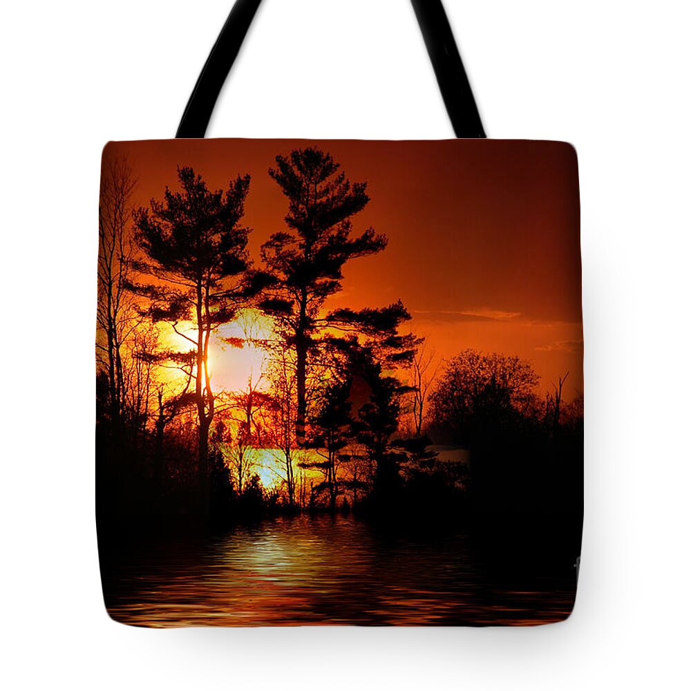 Sunset Tote Bag featuring the photograph November Sunset by Elaine Hunter