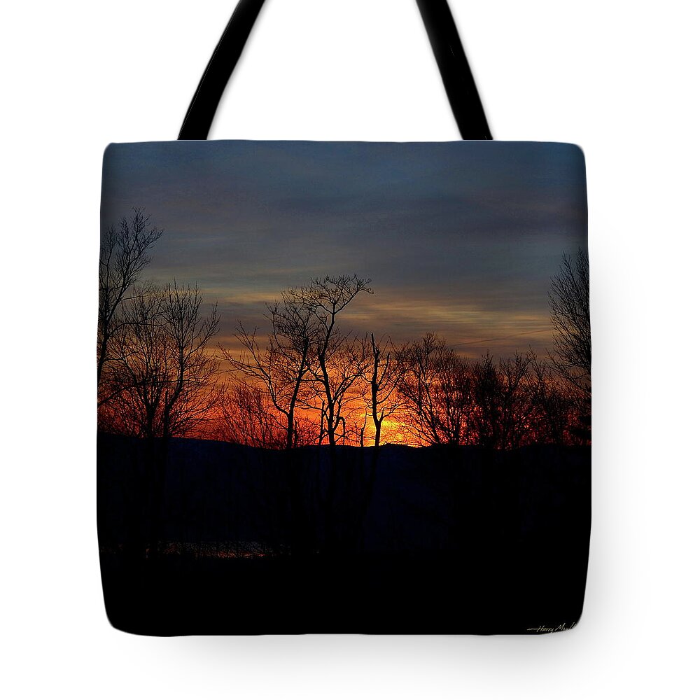 Sunset Tote Bag featuring the photograph November Trees by Harry Moulton
