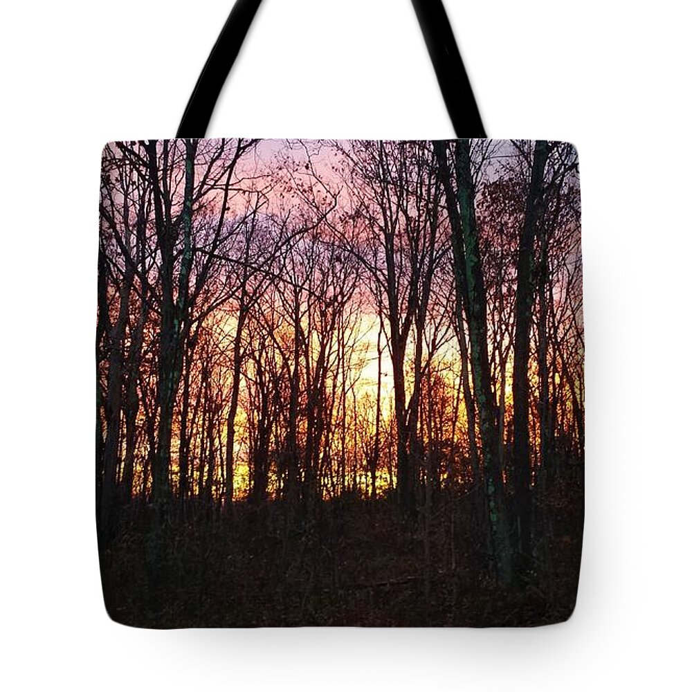 Fall Tote Bag featuring the photograph November's End by Judith Rhue