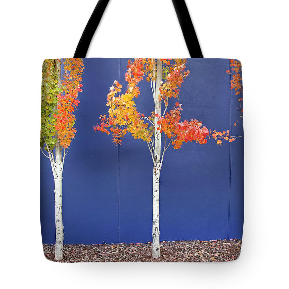 Autumn Tote Bag featuring the photograph Now Showing by Theresa Tahara
