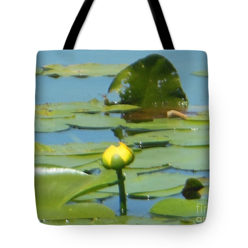 Nuphar Lutea Tote Bag featuring the photograph Nuphar Lutea Yellow Pond by Rockin Docks Deluxephotos