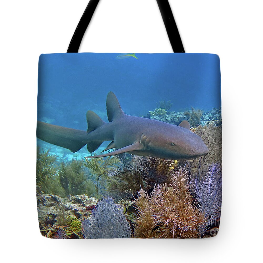Underwater Tote Bag featuring the photograph Nurse Shark 5 by Daryl Duda