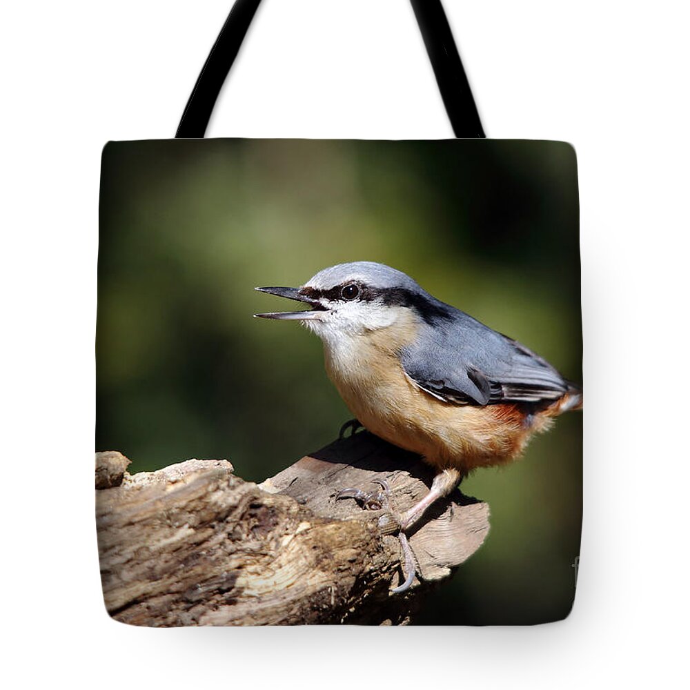Nuthatch Tote Bag featuring the photograph Nuthatch by Maria Gaellman