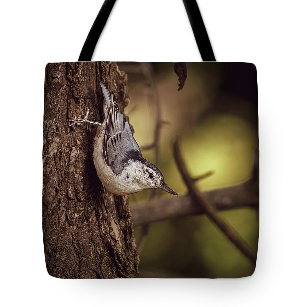 White Breasted Nuthatch Tote Bag featuring the photograph Nuthatch Morning by Bob Orsillo