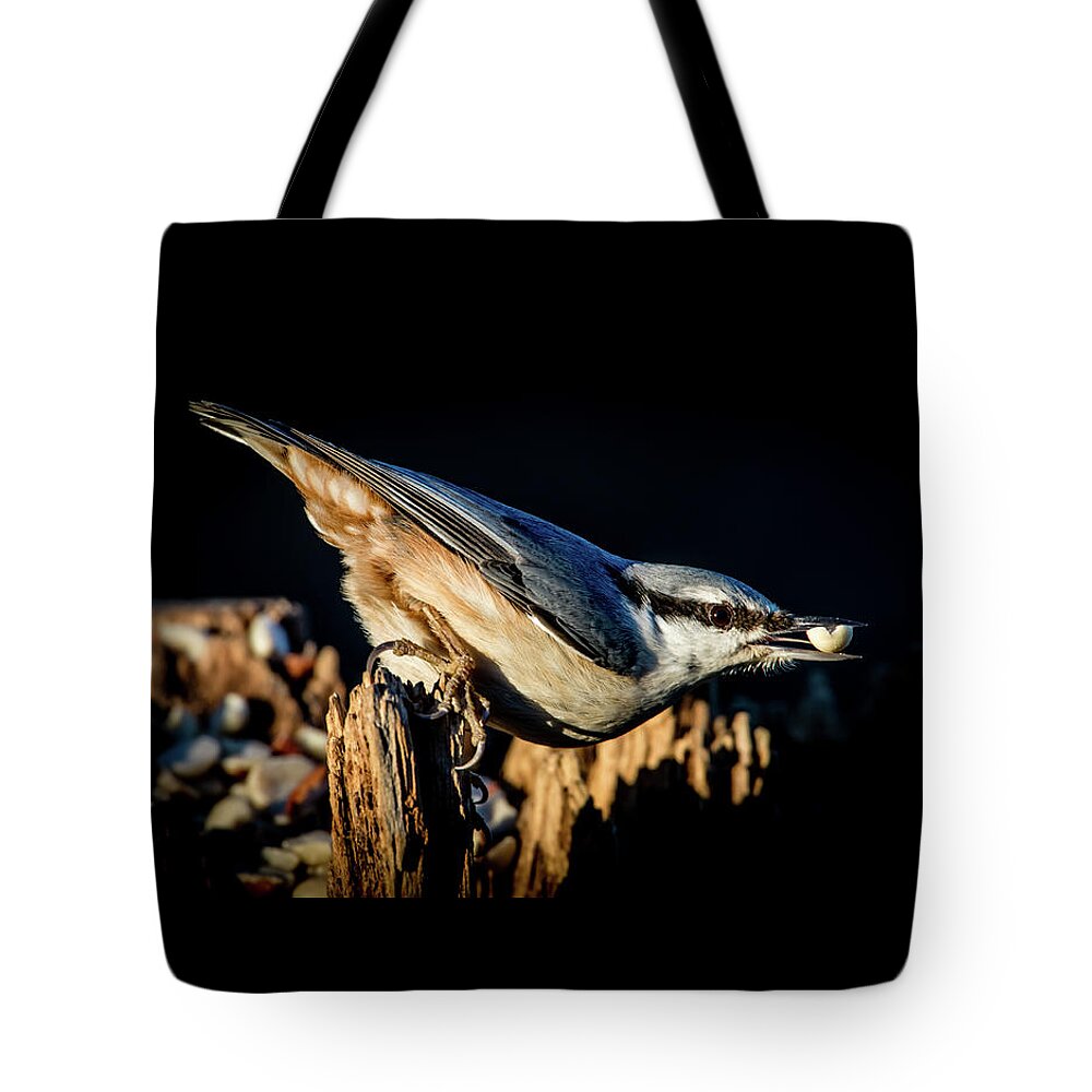 Nuthatch's Nut Tote Bag featuring the photograph Nuthatch with a nut in the beak by Torbjorn Swenelius