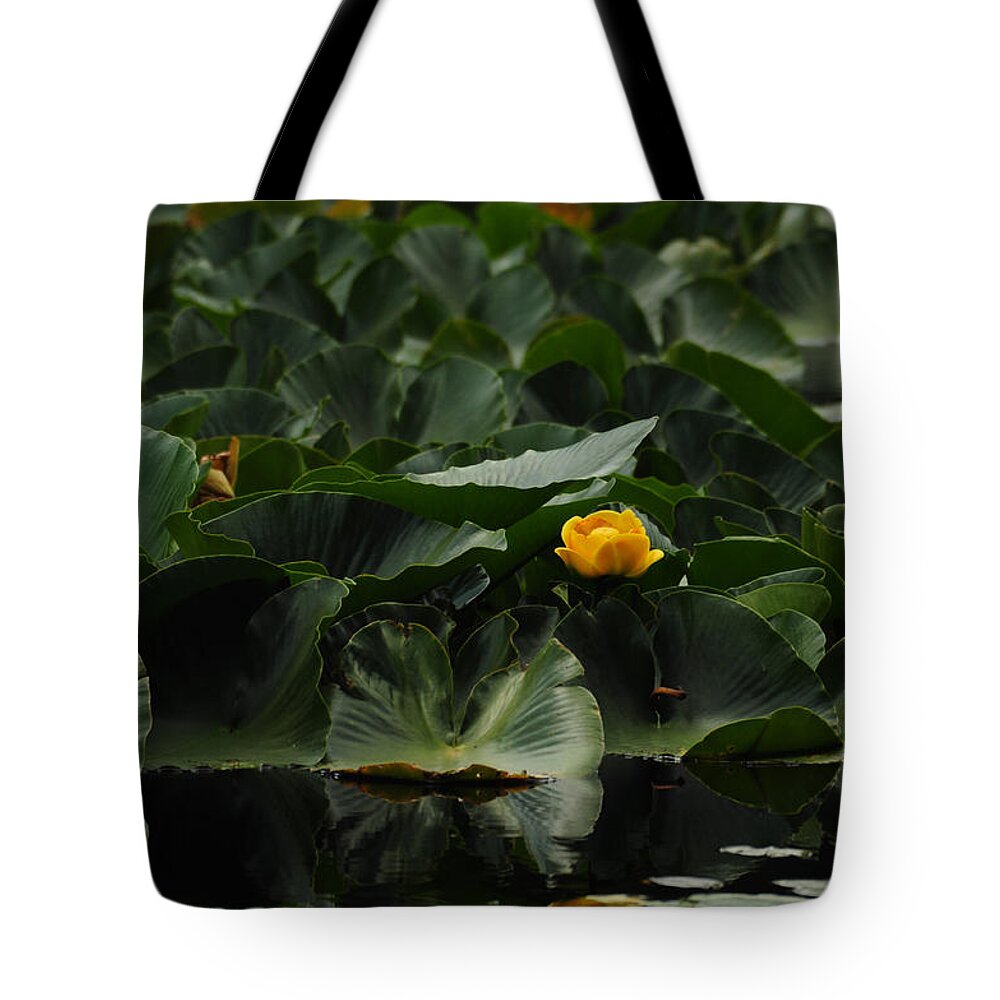Flower Tote Bag featuring the photograph Nymph Lake II by Stevyn Llewellyn