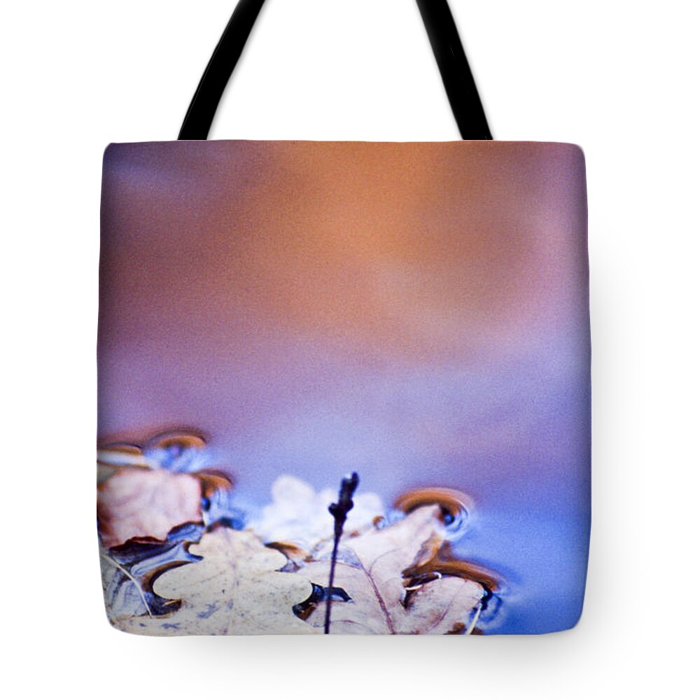 Water Tote Bag featuring the photograph Oak leaf cluster II by Heiko Koehrer-Wagner