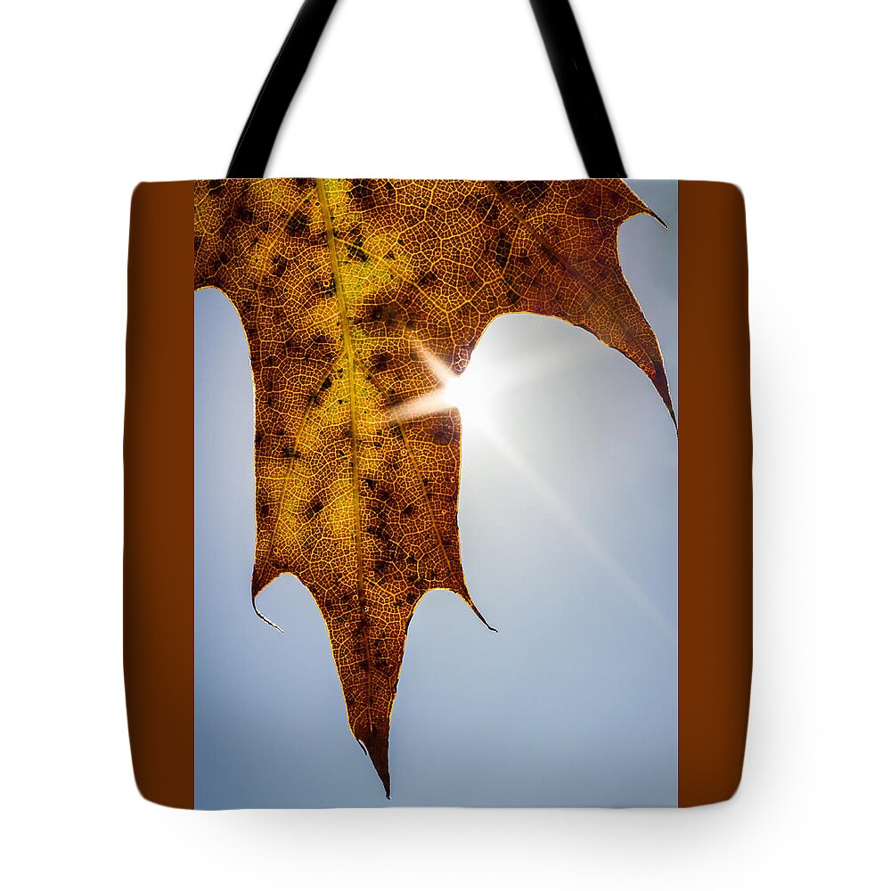 Oak Leaf Tote Bag featuring the photograph Oak Leaf by Penny Meyers
