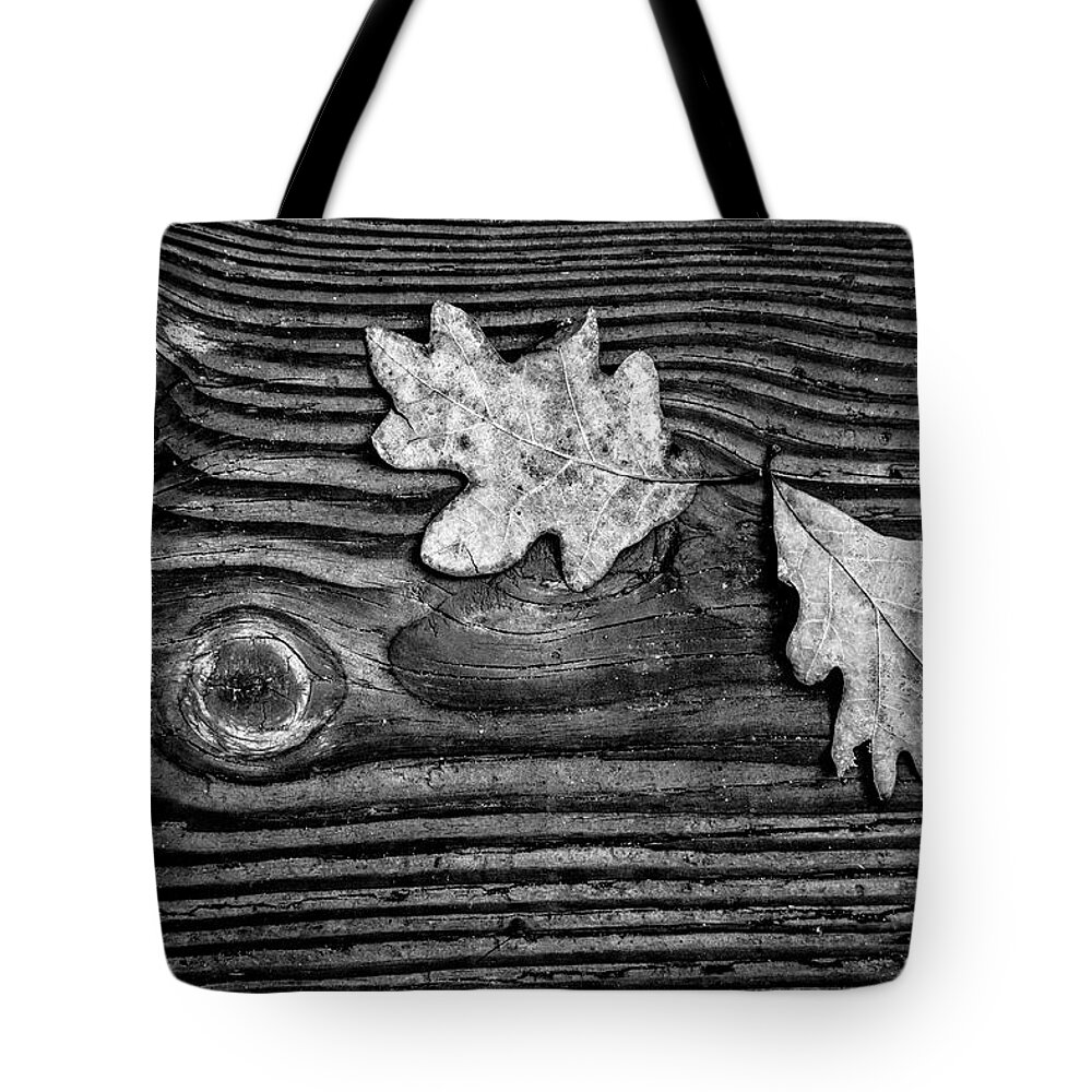 Fall Tote Bag featuring the photograph Oak Leaves in Black and White by Debra and Dave Vanderlaan