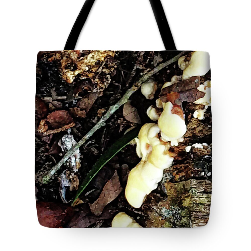 Fungus Tote Bag featuring the photograph Oak Tree Fungus by Gina O'Brien