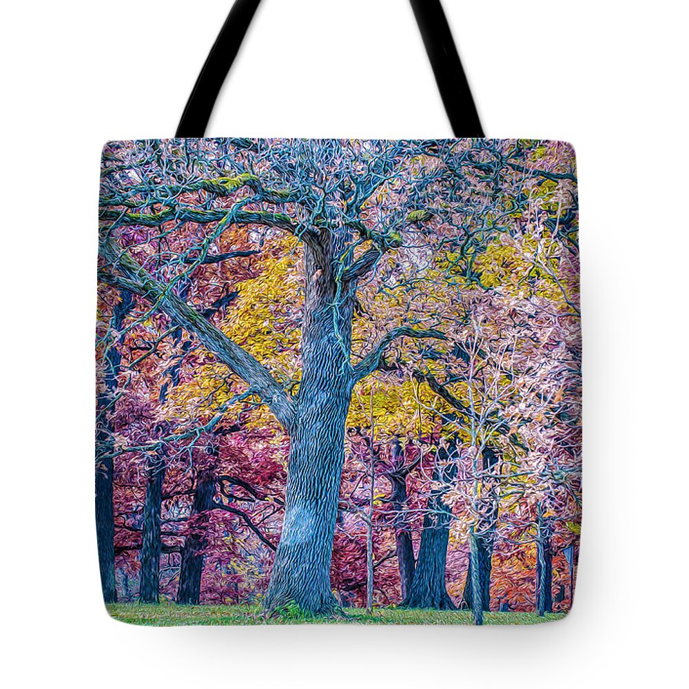 Morton Arboretum Oak Trees Tote Bag featuring the digital art Oak Trees at Fall by Judith Barath