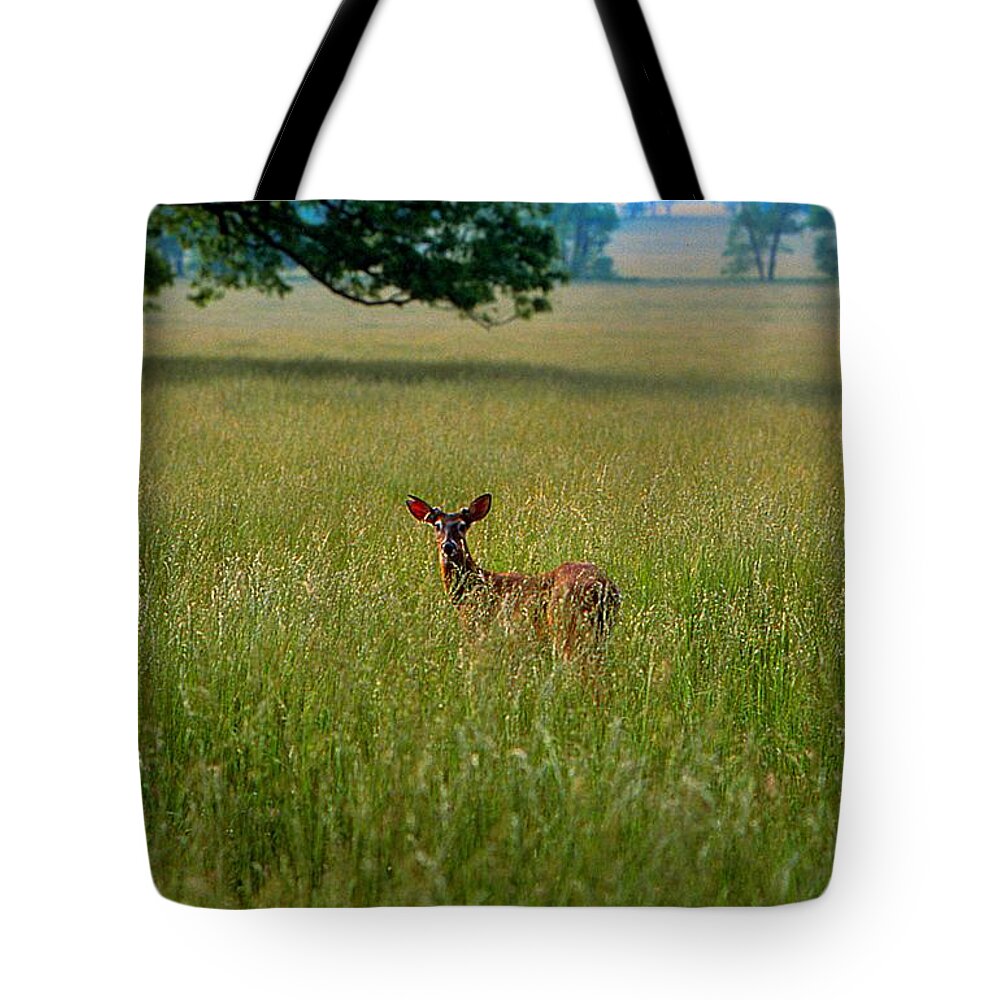 Fine Art Tote Bag featuring the photograph Observer by Rodney Lee Williams