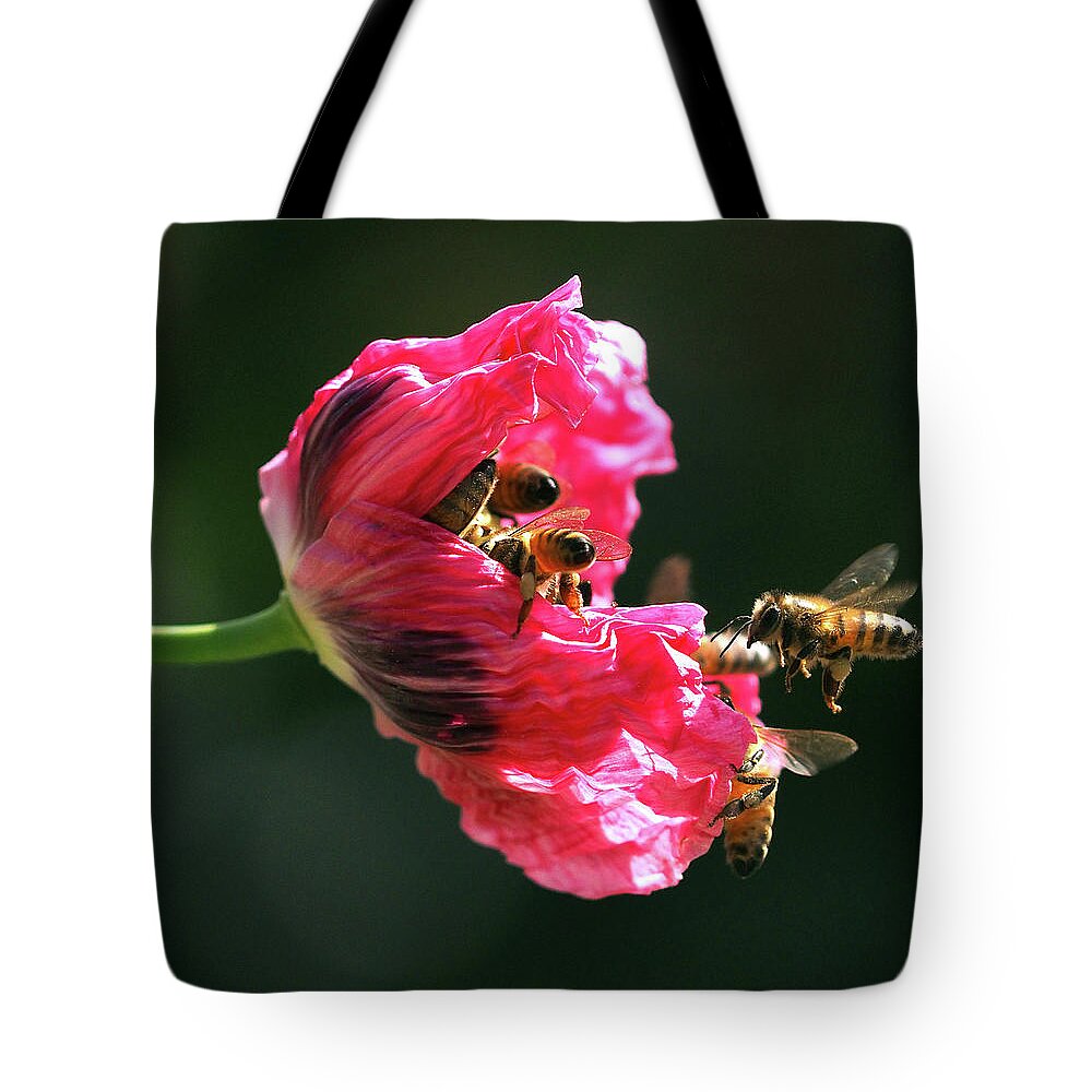 Papaver Somniferum Tote Bag featuring the photograph Occupy Poppy Party by Joe Schofield