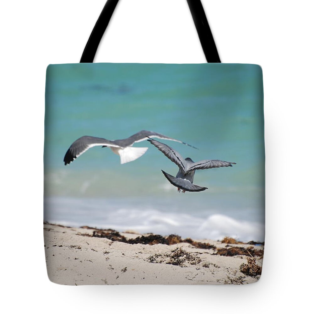 Sea Scape Tote Bag featuring the photograph Ocean Birds by Rob Hans