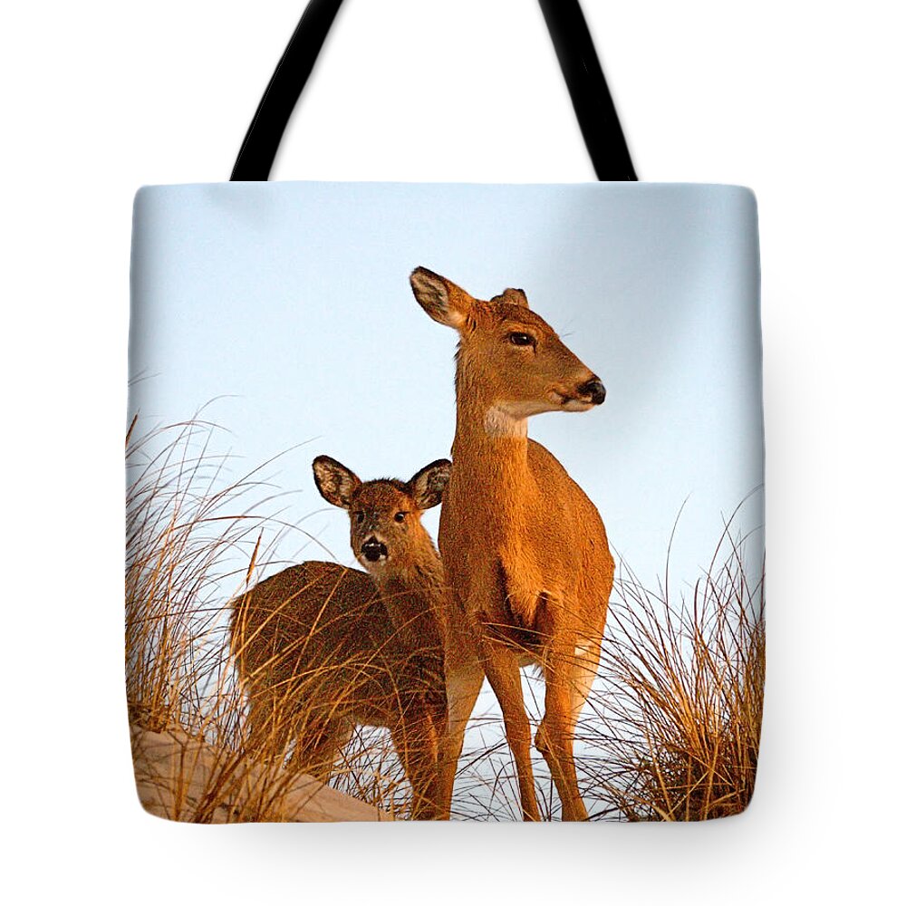 Deer Tote Bag featuring the photograph Ocean Deer by Newwwman