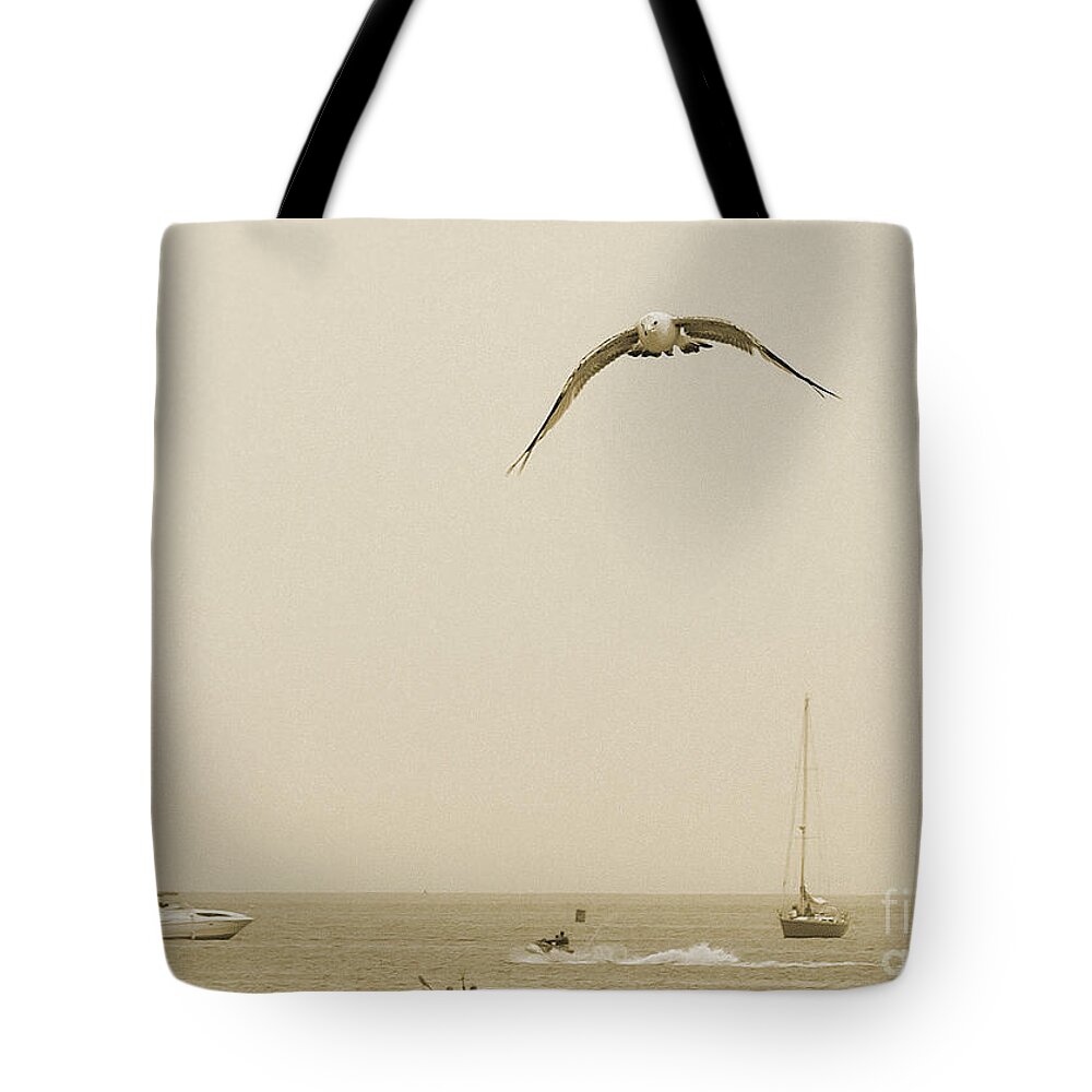 Bird Tote Bag featuring the photograph Ocean Fun by Raymond Earley