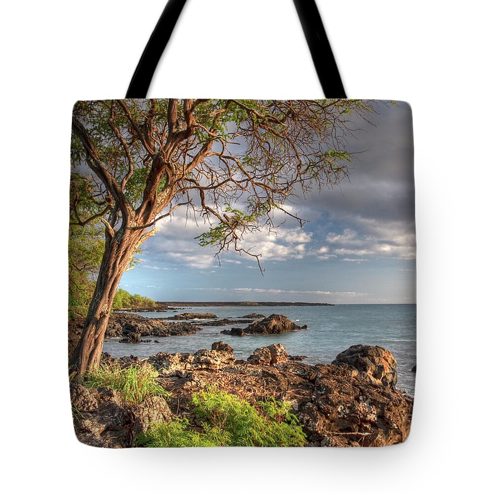 Hawaii Tote Bag featuring the photograph Ocean Tree by Bryan Keil