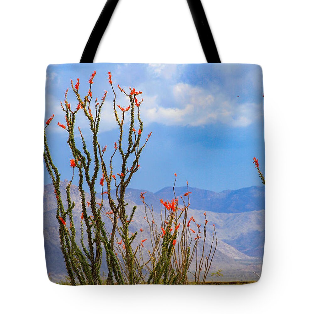 Bonnie Follett Tote Bag featuring the photograph Ocotillo Cactus with Mountains and Sky by Bonnie Follett