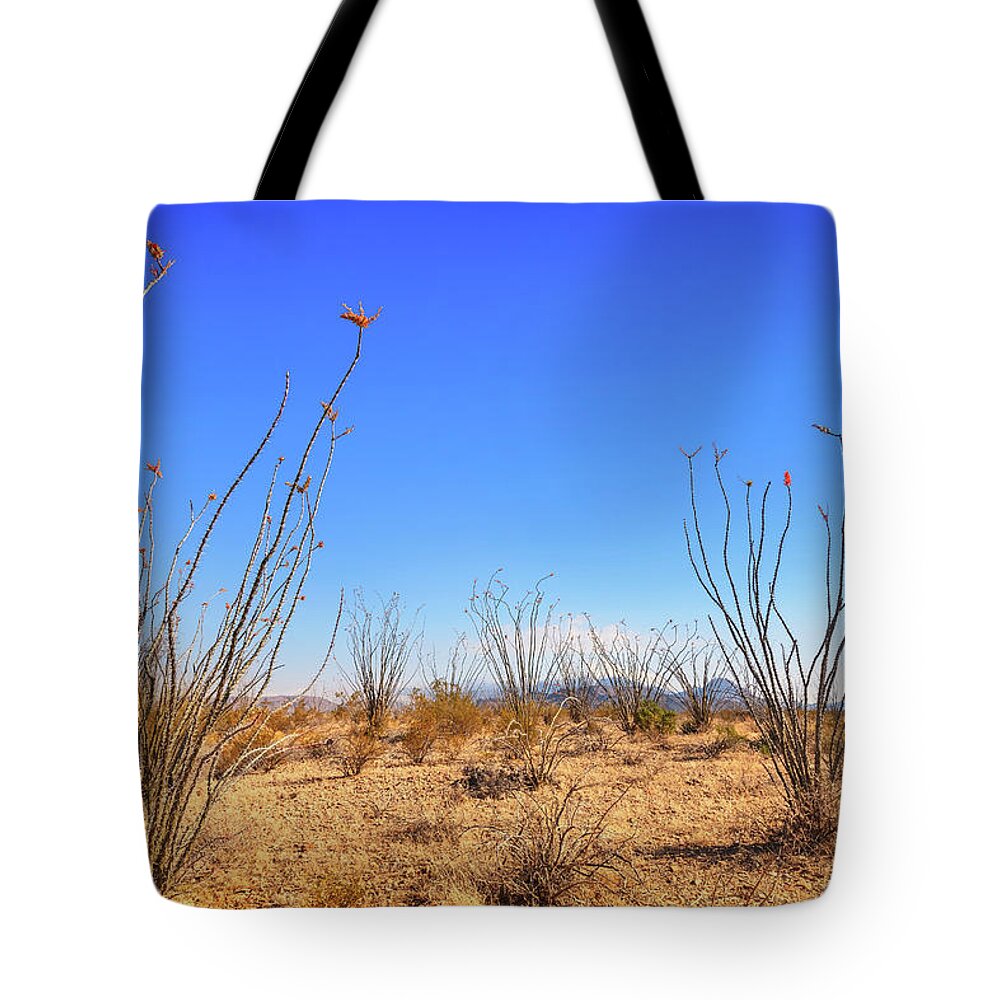 Big Bend National Park Tote Bag featuring the photograph Ocotillos Garden by Sylvia J Zarco