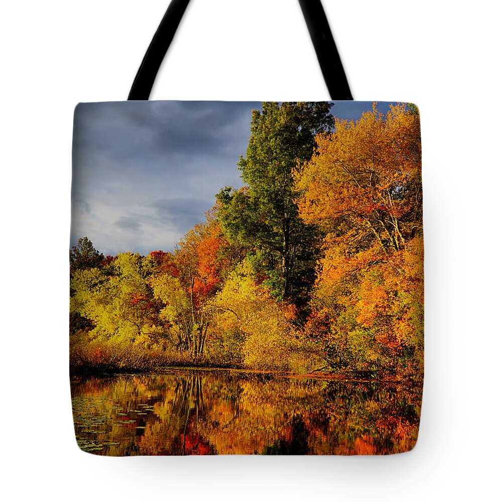 October Tote Bag featuring the photograph October Foliage by Lilia D