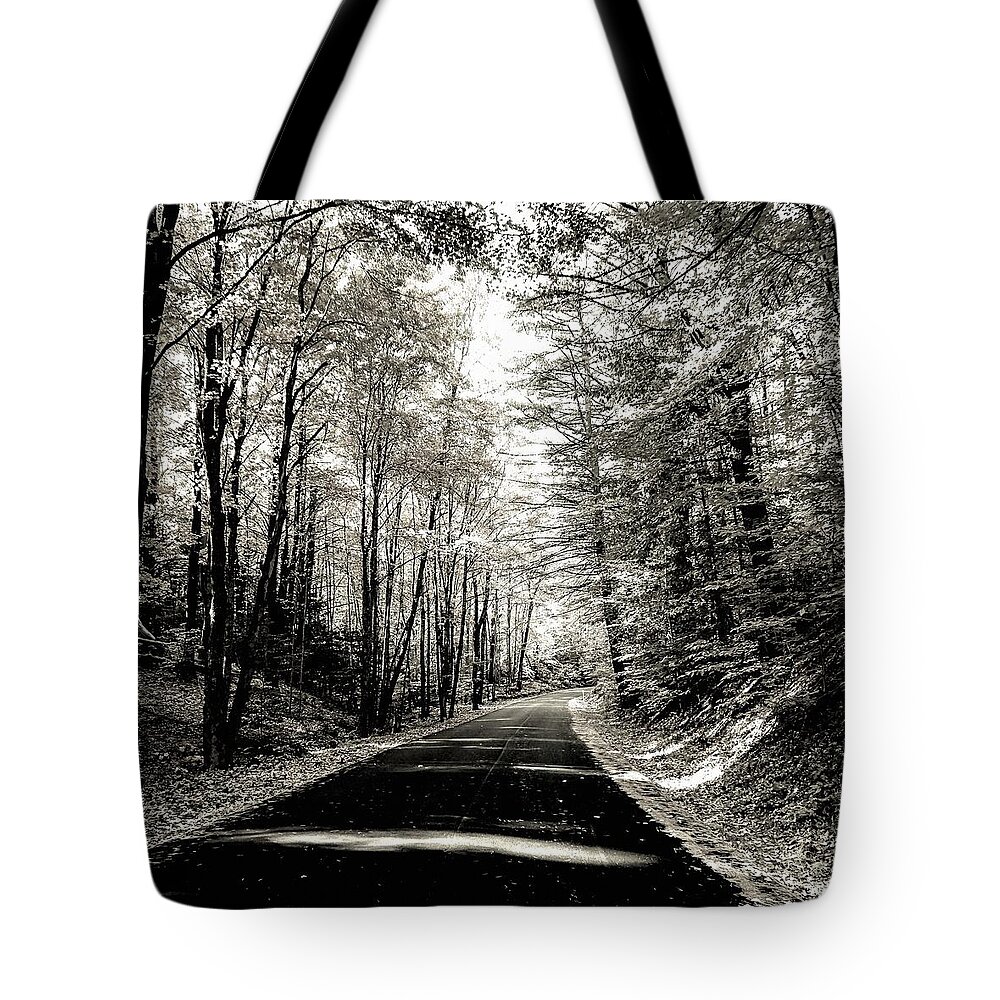  Tote Bag featuring the photograph October Grayscale by Kendall McKernon
