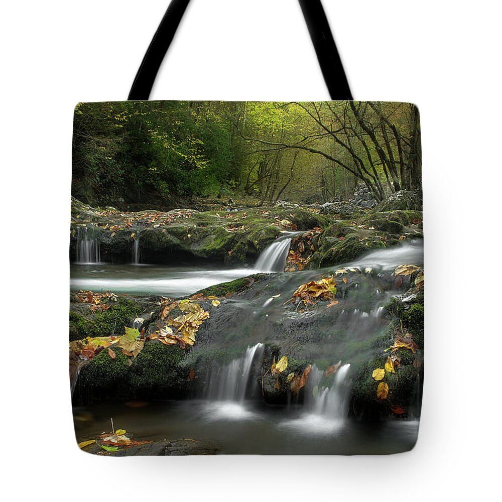 Smoky Mountain Stream Tote Bag featuring the photograph October In The Smokies by Michael Eingle