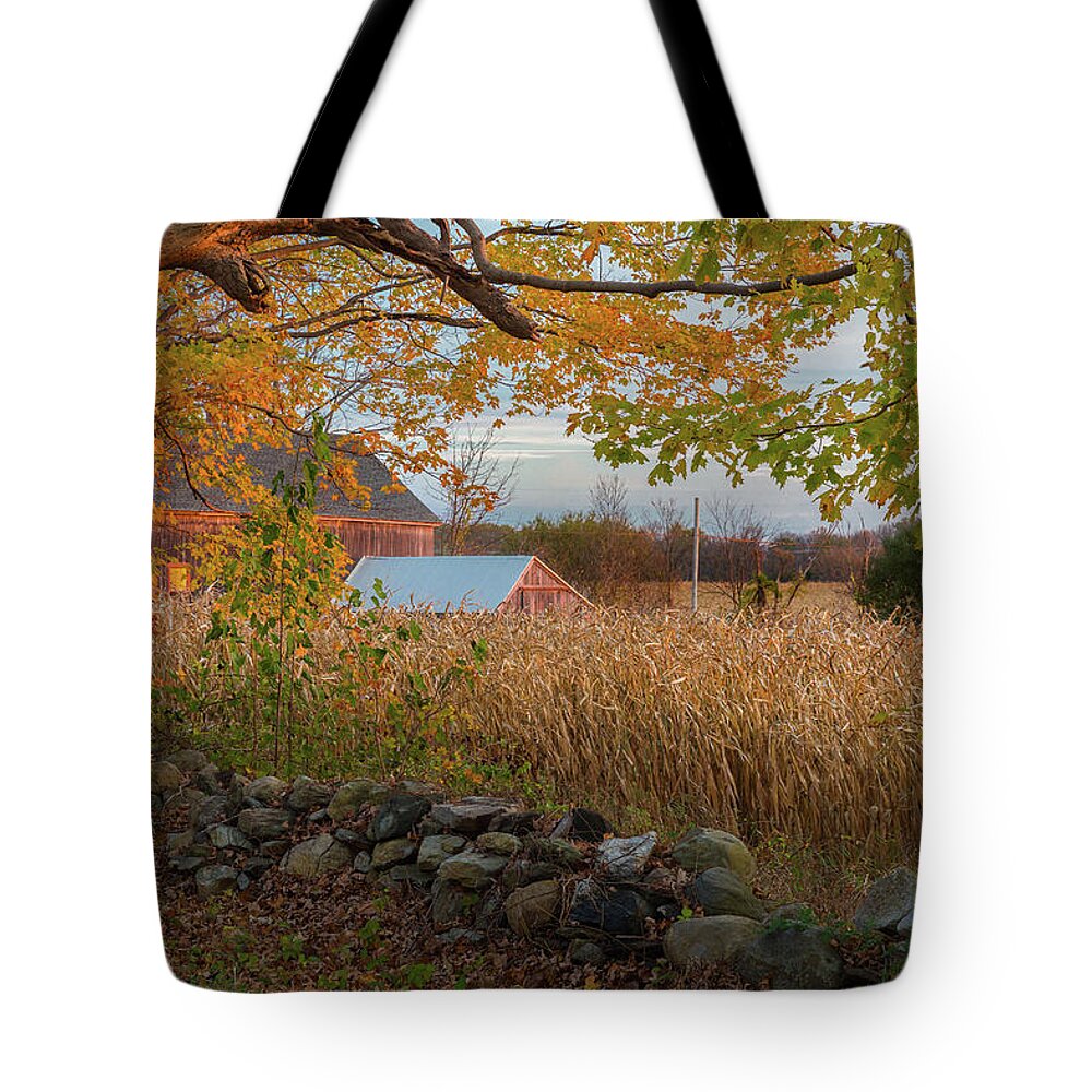 Coutryside Tote Bag featuring the photograph October Morning 2016 by Bill Wakeley