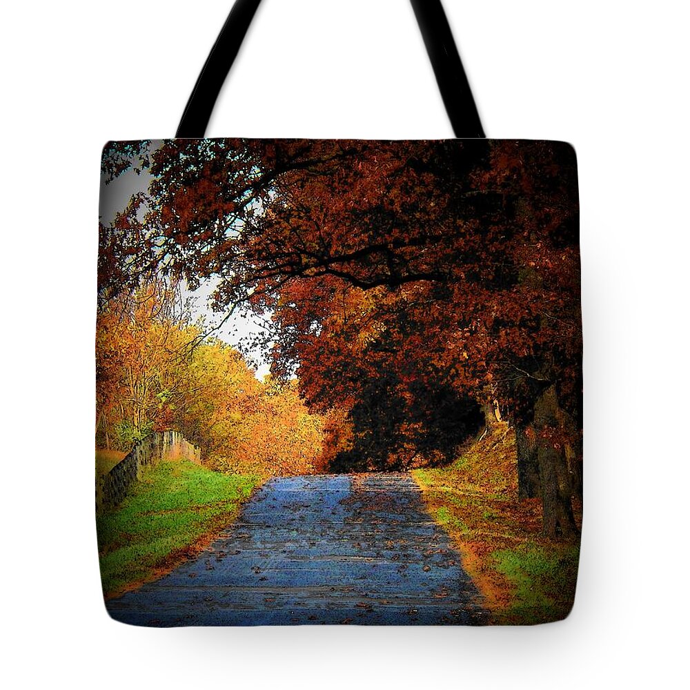Autumn Tote Bag featuring the photograph October Road by Joyce Kimble Smith
