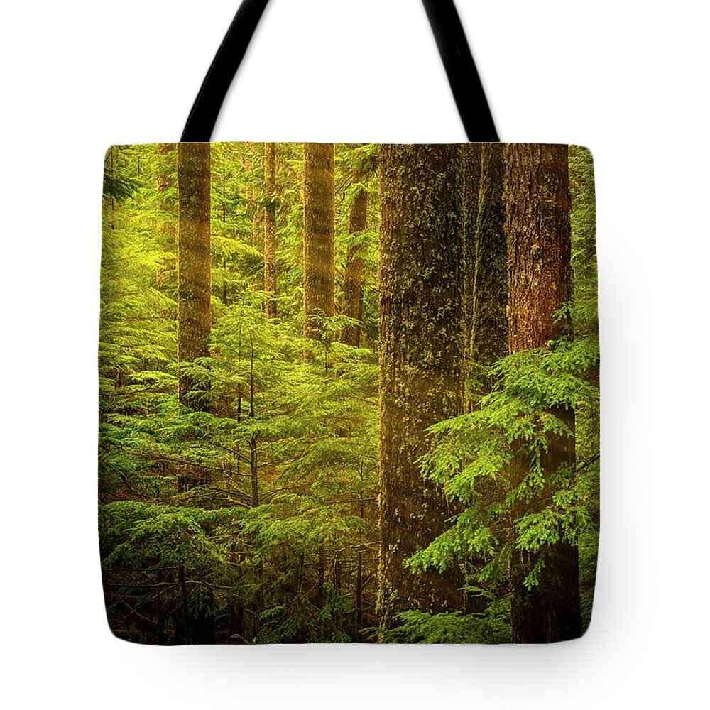 Forest Tote Bag featuring the photograph Of Elves and Faeries by Dan Mihai