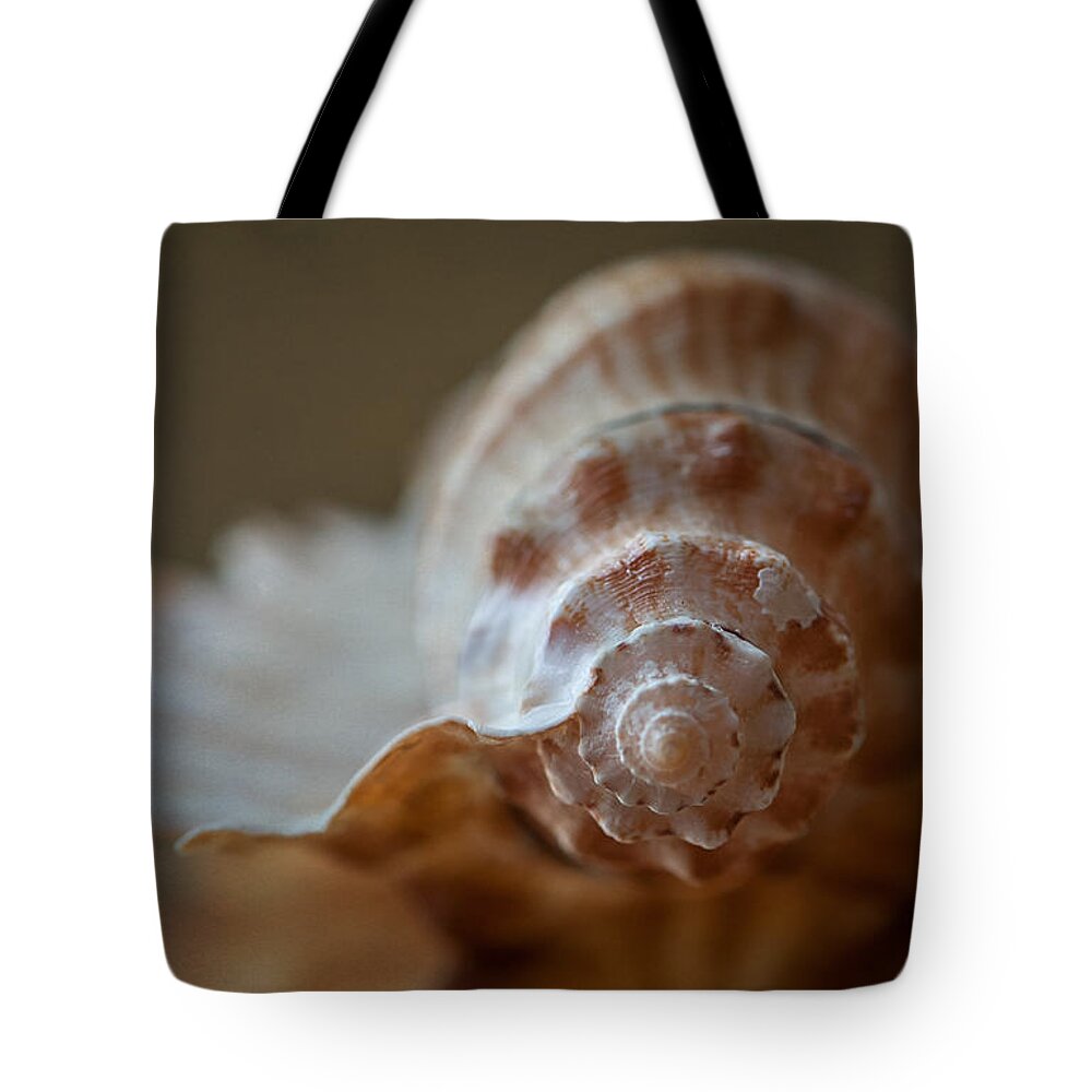 Shell Tote Bag featuring the photograph Off Shore by Maggie Terlecki