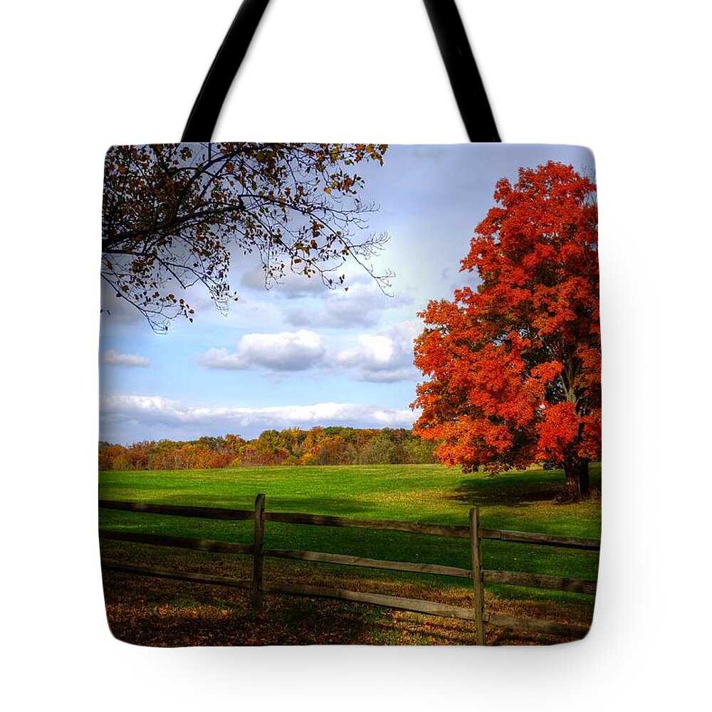 Autumn Tote Bag featuring the photograph Oh beautiful tree by Ronda Ryan