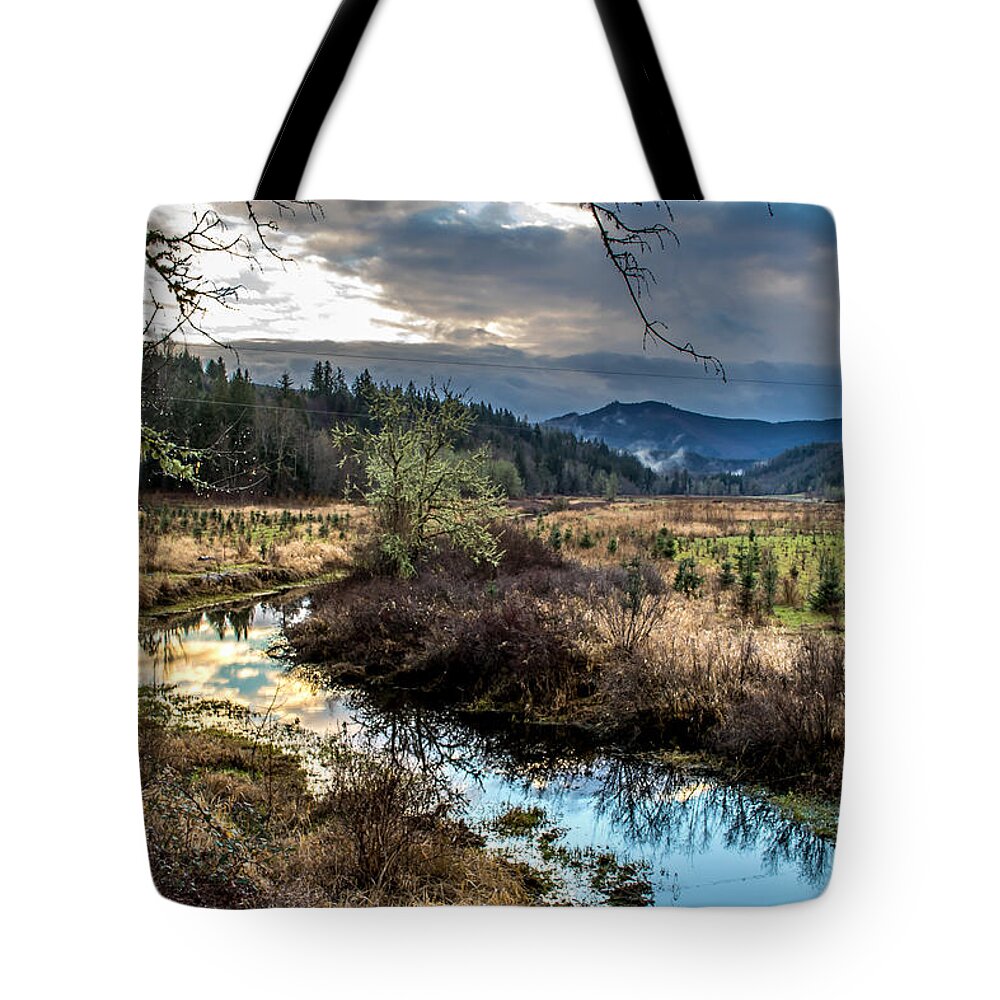 Ohop Tote Bag featuring the photograph Ohop Creek by Rob Green