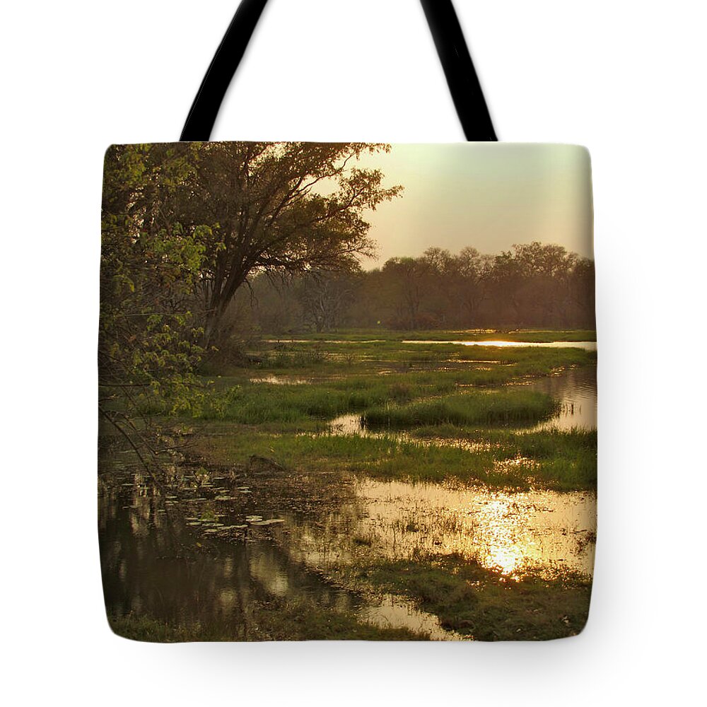 Landscape Tote Bag featuring the photograph Okavango Delta Gold by David Bader