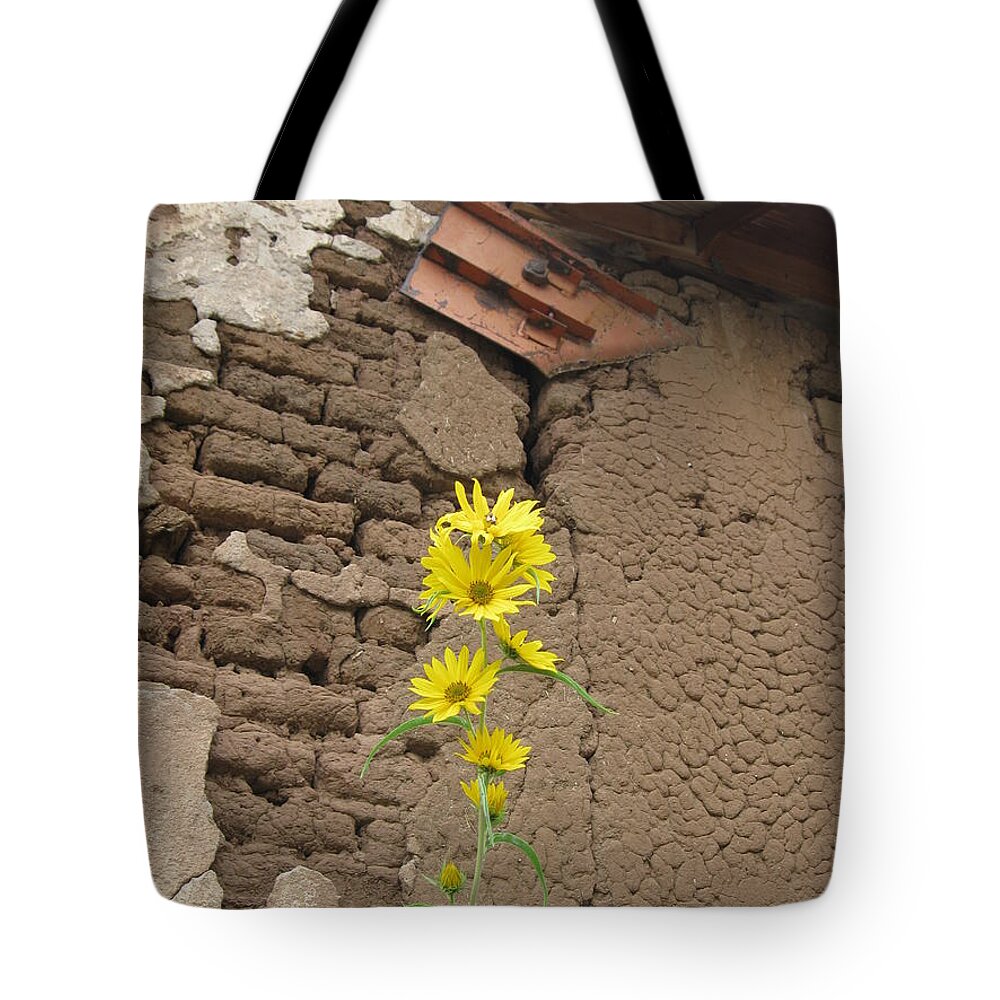  Tote Bag featuring the photograph Old and New by Ron Monsour