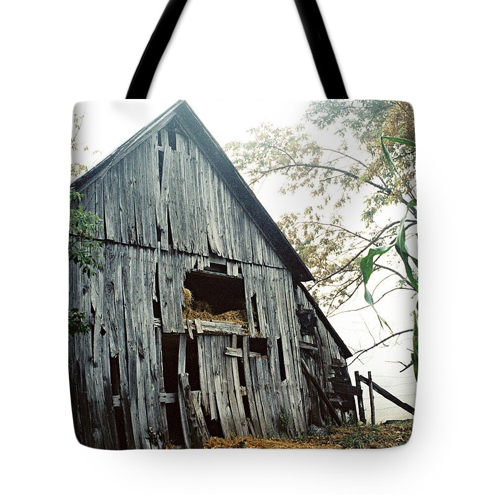 Rural Tote Bag featuring the photograph Old Barn in the Morning Mist by Frank DiMarco