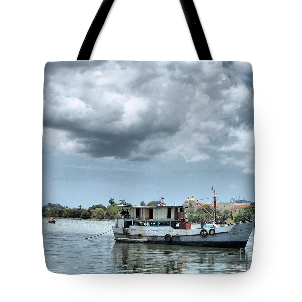 Panama Tote Bag featuring the photograph Old Beauty by Onedayoneimage Photography