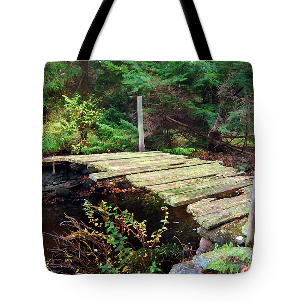 Bridge Old Relic Ancient Broken Decay Derelict Stream River Crossing Forest Woods Tote Bag featuring the photograph Old Bridge by Frances Miller