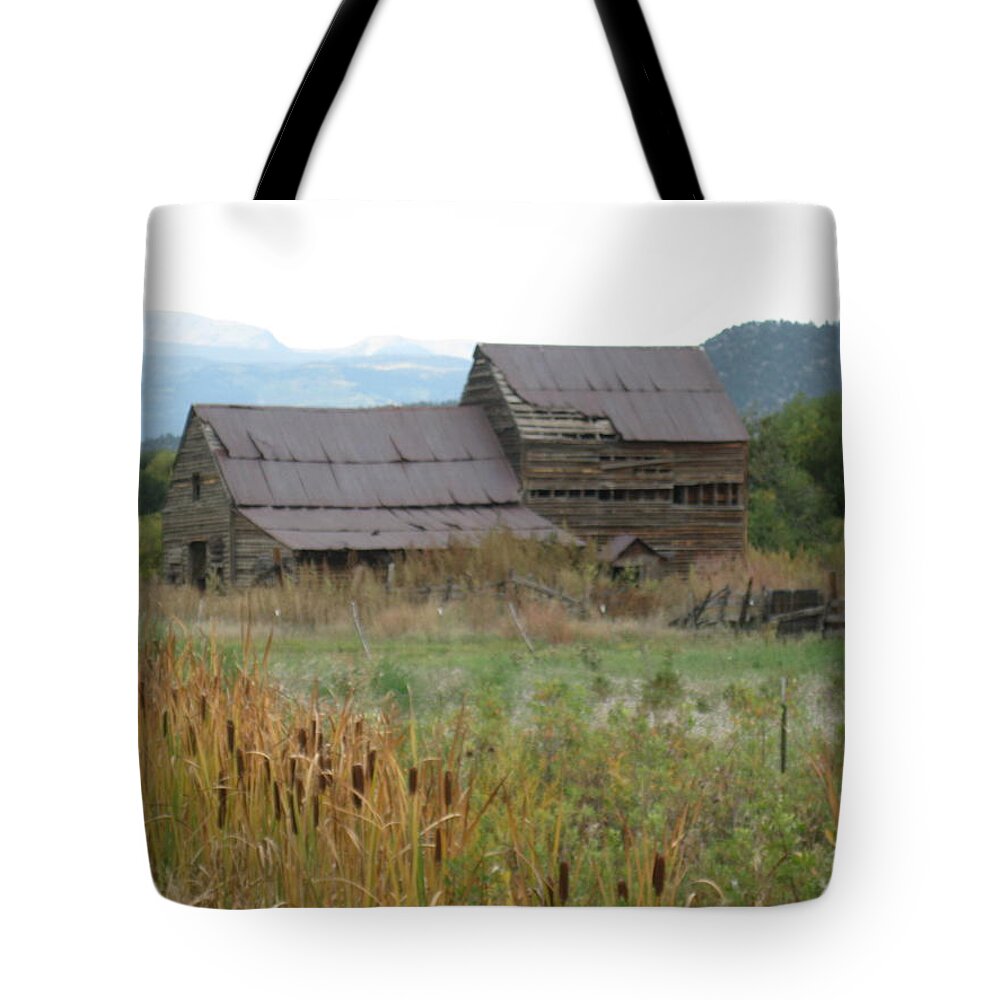 New Mexico Tote Bag featuring the photograph Old Farmhouse by Ron Monsour