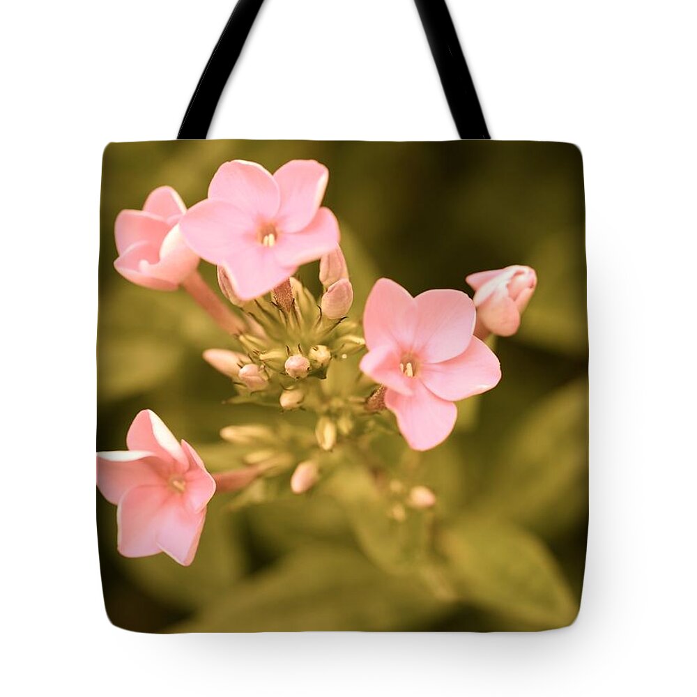 Flower Tote Bag featuring the photograph Old Fashioned Spring by Corinne Rhode