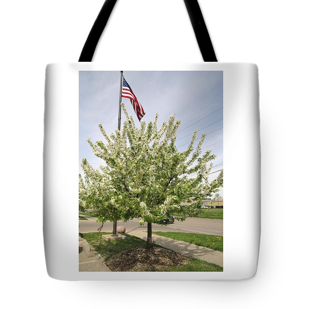 Photography Tote Bag featuring the photograph Old Glory by Glenda Crigger