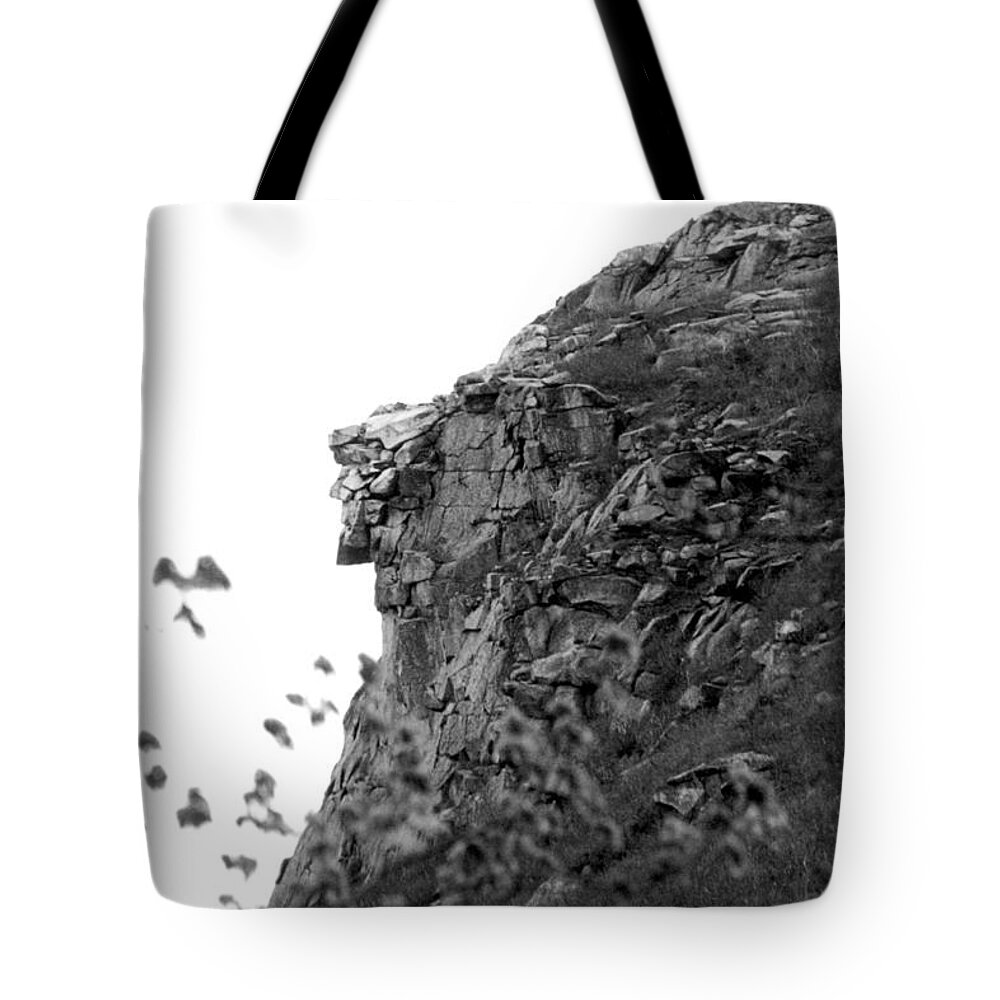 Old Man In The Mountain Tote Bag featuring the photograph Old Man in the Mountain by Greg Fortier