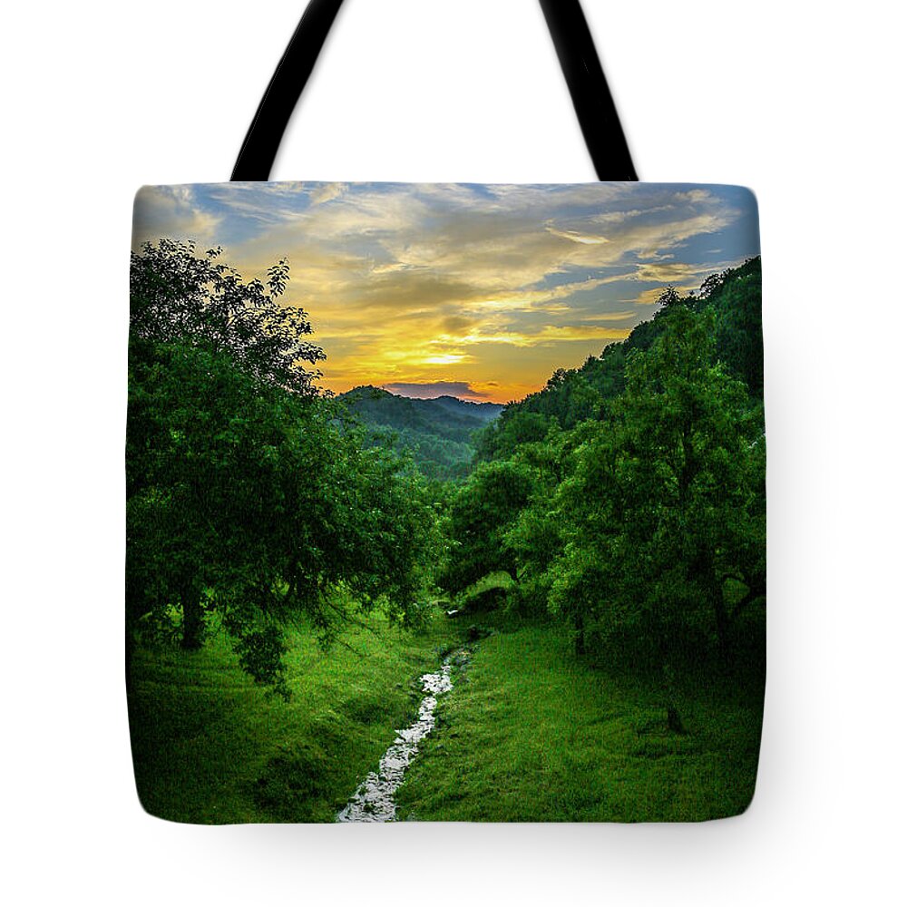 Orchard Tote Bag featuring the photograph Old Orchard Glow by Dale R Carlson