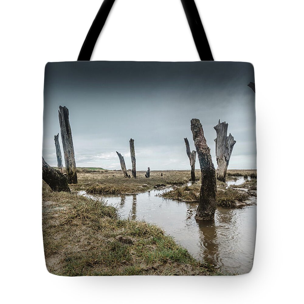 Ancient Tote Bag featuring the photograph Old Posts by James Billings