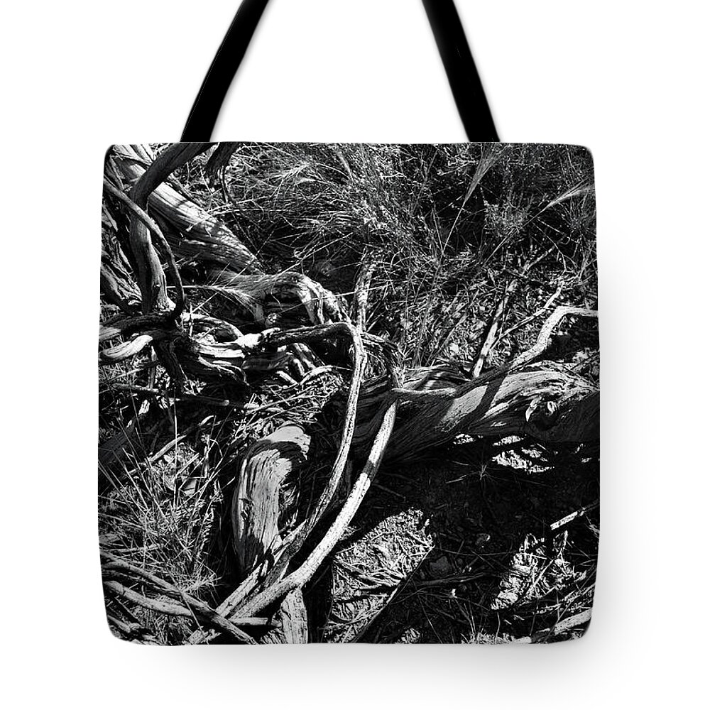 Nature Tote Bag featuring the photograph Old Sagebrush Remains by Ron Cline