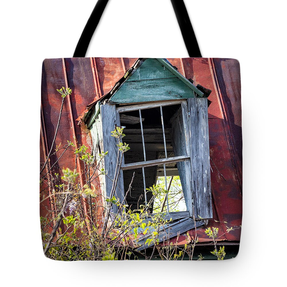 Window Tote Bag featuring the photograph Old South Window #1 by Denise Bush